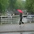 Pink Umbrella